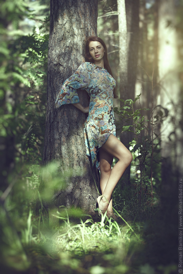 Стоковые фотографии Красивая Женщина В Лесу Летом премиум-класса